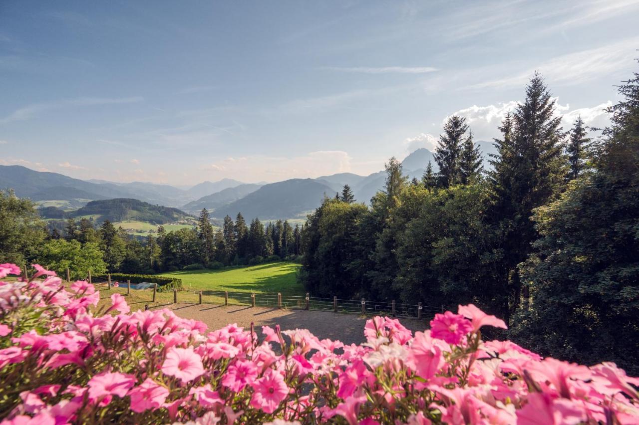 Familienbauernhof Samerhof Pfarrwerfen Exteriér fotografie