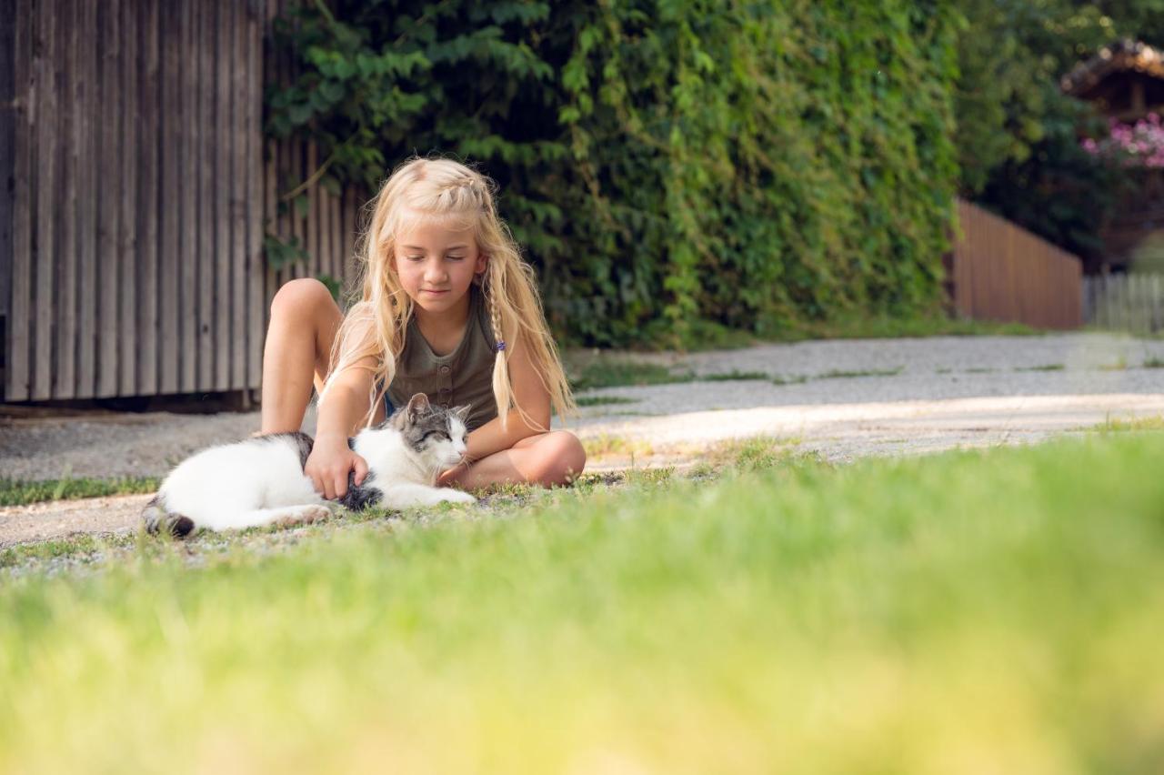 Familienbauernhof Samerhof Pfarrwerfen Exteriér fotografie
