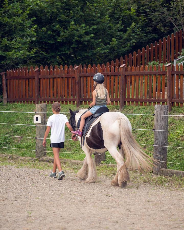 Familienbauernhof Samerhof Pfarrwerfen Exteriér fotografie