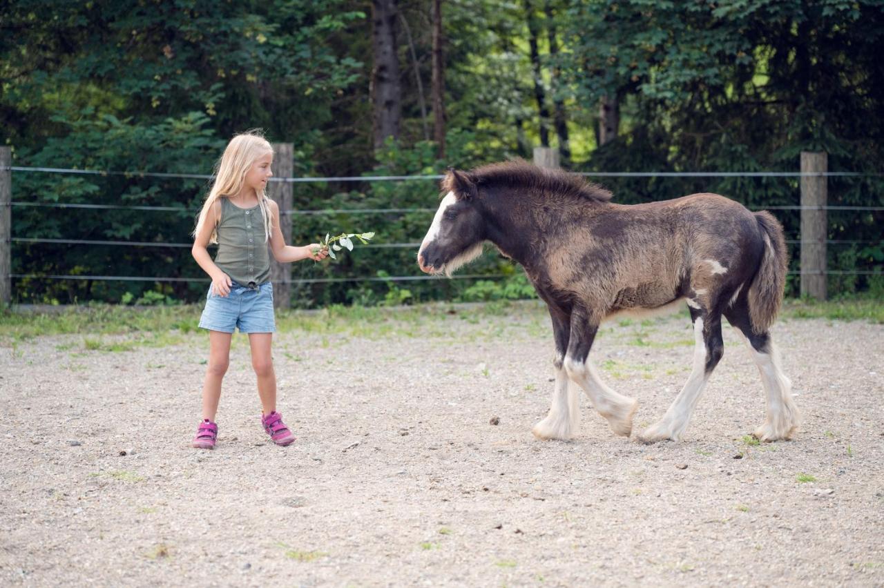 Familienbauernhof Samerhof Pfarrwerfen Exteriér fotografie
