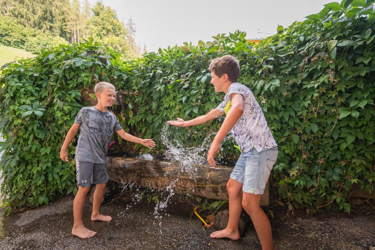 Familienbauernhof Samerhof Pfarrwerfen Exteriér fotografie