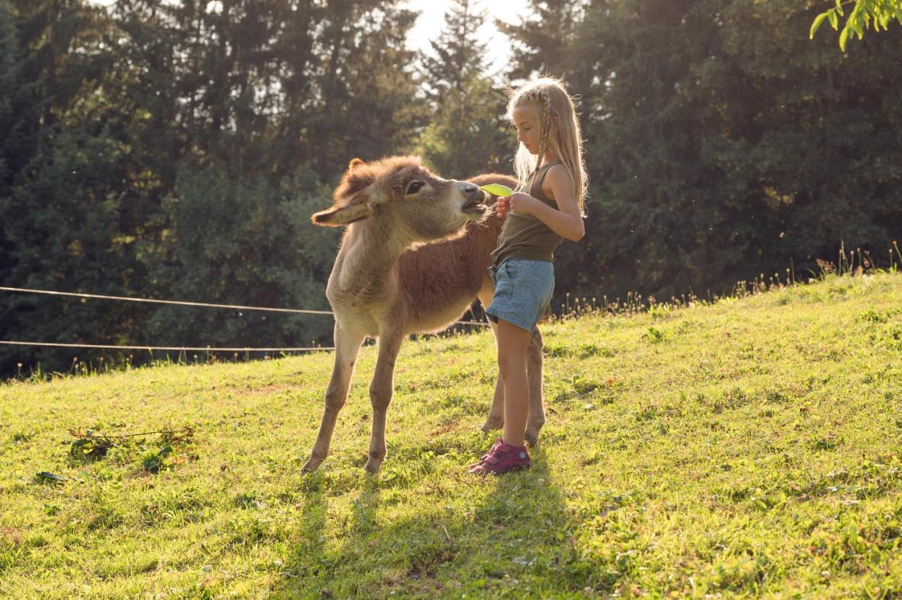 Familienbauernhof Samerhof Pfarrwerfen Exteriér fotografie