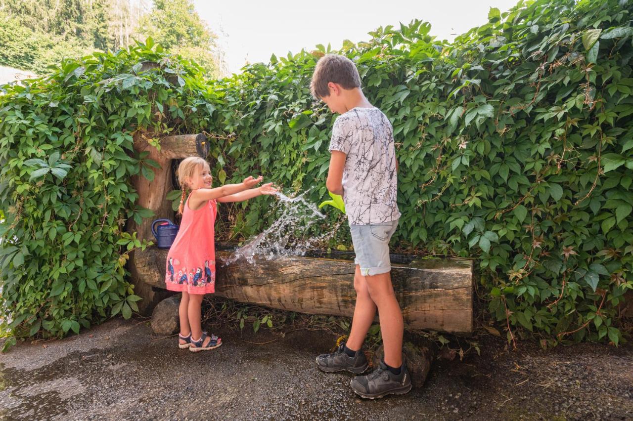 Familienbauernhof Samerhof Pfarrwerfen Exteriér fotografie