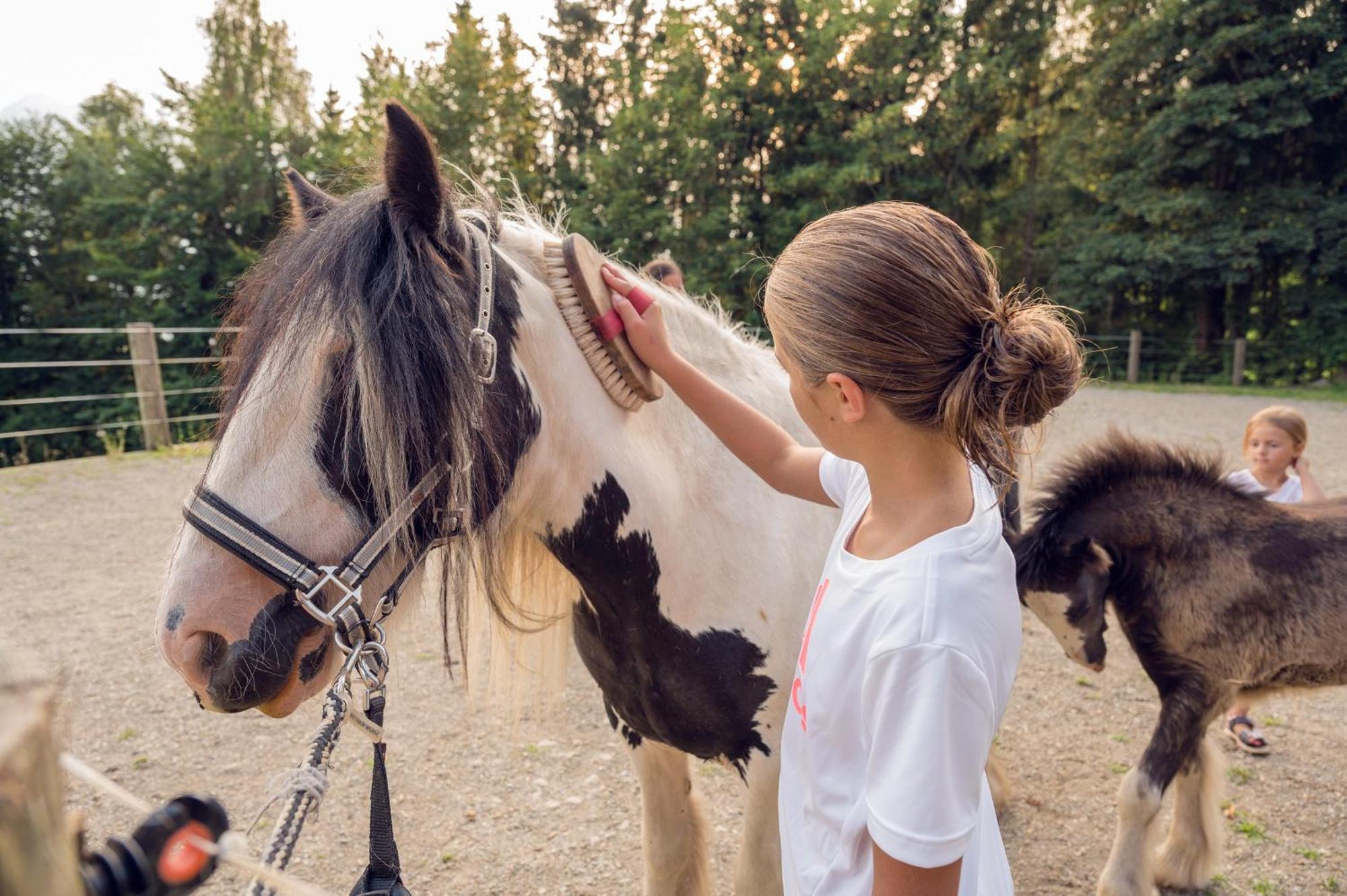 Familienbauernhof Samerhof Pfarrwerfen Exteriér fotografie