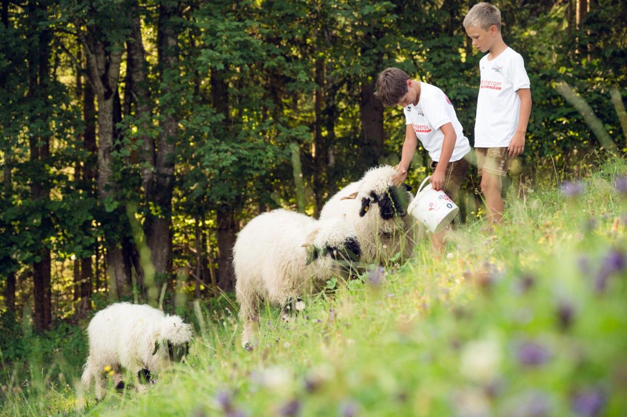 Familienbauernhof Samerhof Pfarrwerfen Exteriér fotografie