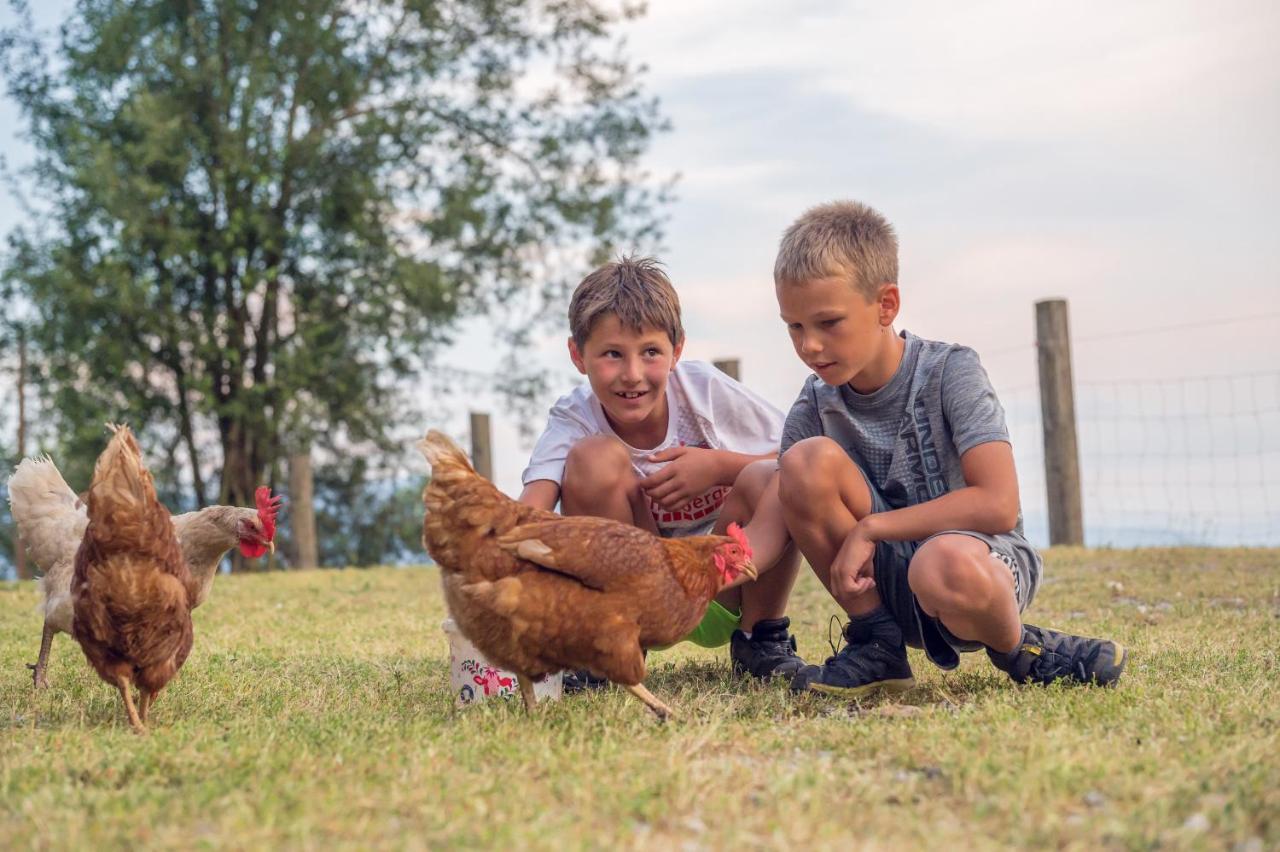Familienbauernhof Samerhof Pfarrwerfen Exteriér fotografie