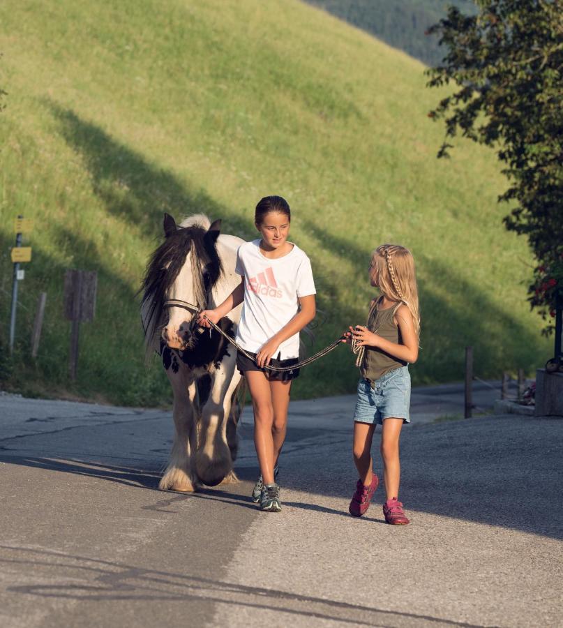 Familienbauernhof Samerhof Pfarrwerfen Exteriér fotografie