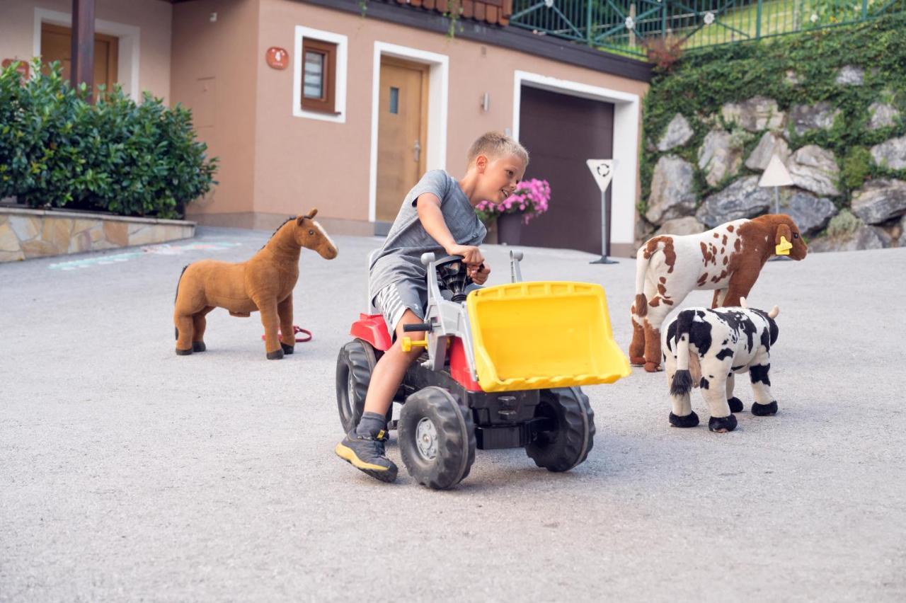 Familienbauernhof Samerhof Pfarrwerfen Exteriér fotografie
