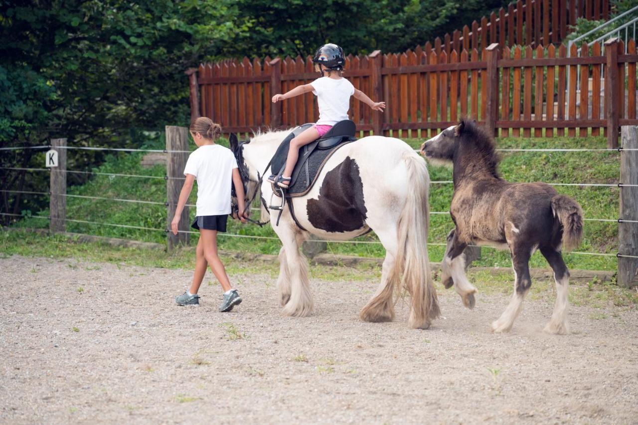 Familienbauernhof Samerhof Pfarrwerfen Exteriér fotografie
