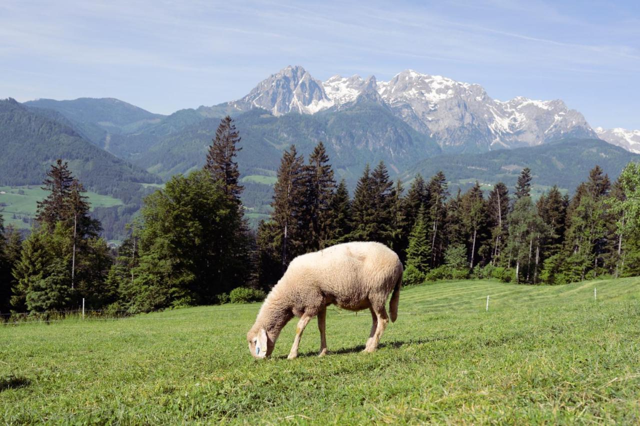 Familienbauernhof Samerhof Pfarrwerfen Exteriér fotografie