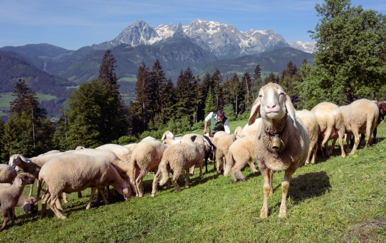 Familienbauernhof Samerhof Pfarrwerfen Exteriér fotografie