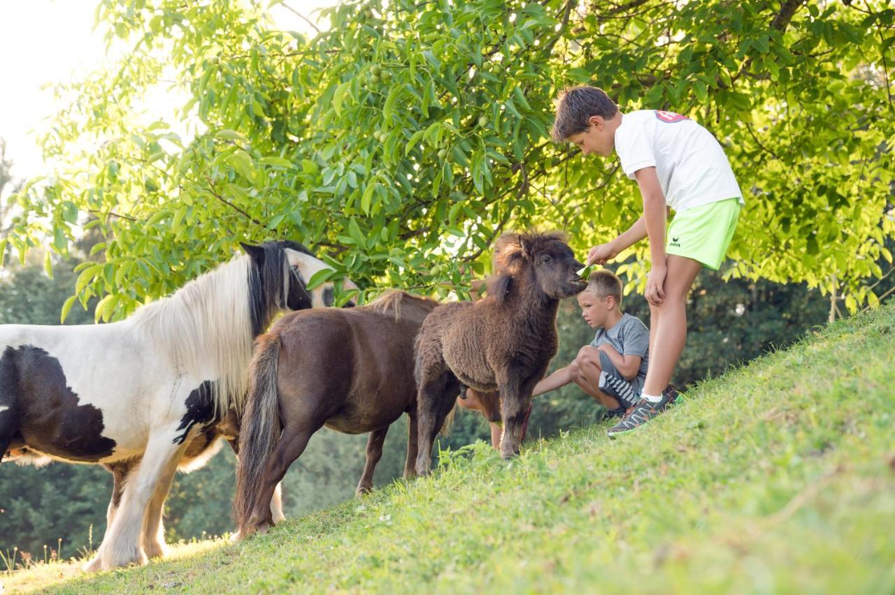 Familienbauernhof Samerhof Pfarrwerfen Exteriér fotografie
