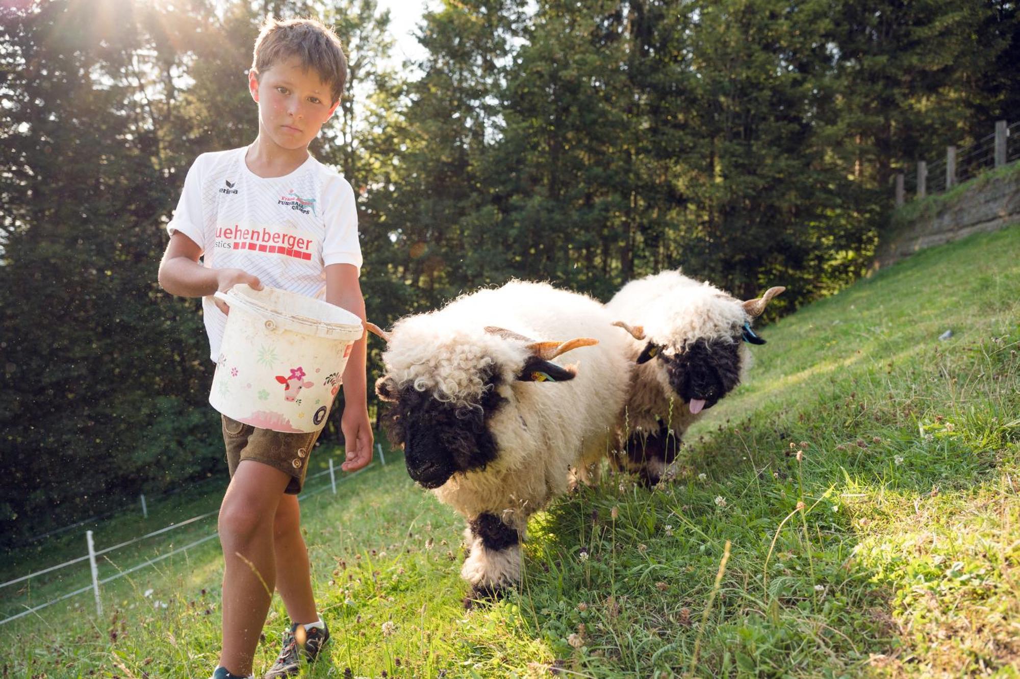 Familienbauernhof Samerhof Pfarrwerfen Exteriér fotografie