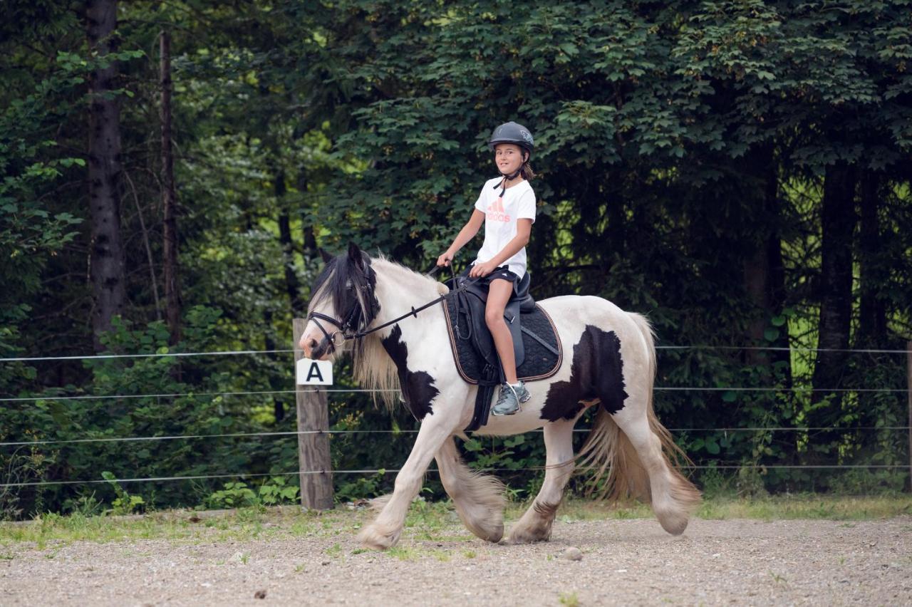 Familienbauernhof Samerhof Pfarrwerfen Exteriér fotografie