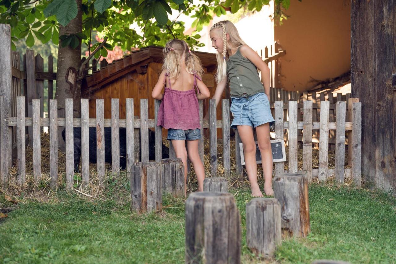 Familienbauernhof Samerhof Pfarrwerfen Exteriér fotografie