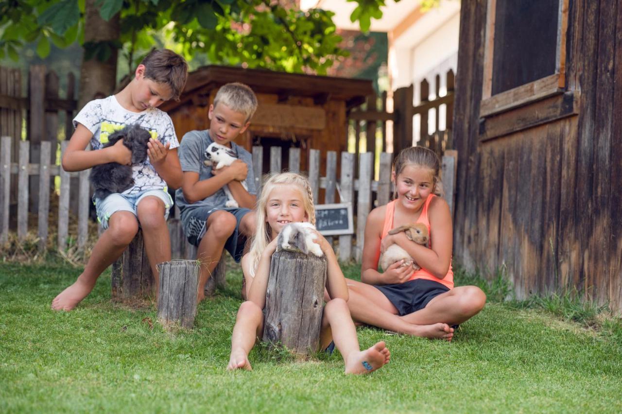 Familienbauernhof Samerhof Pfarrwerfen Exteriér fotografie